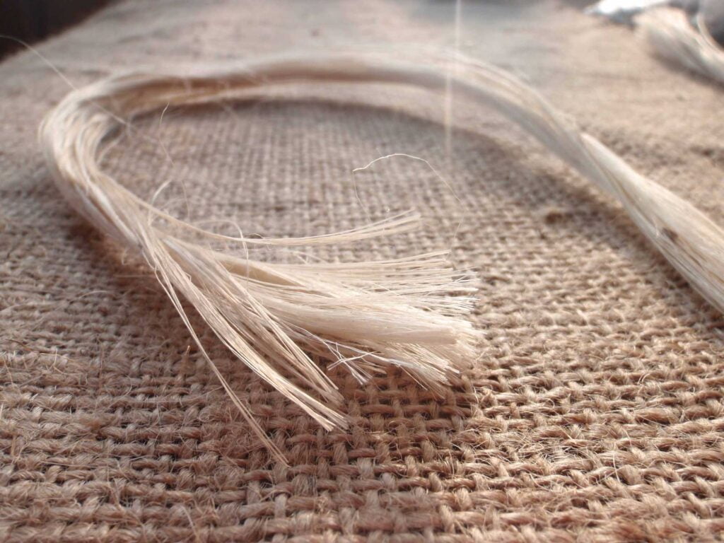 Fibre de jute